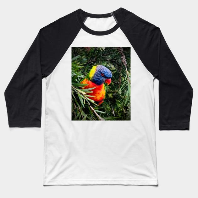 Rainbow lorikeet Baseball T-Shirt by Margo Humphries Art